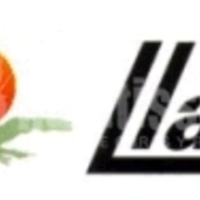 Toldos llaza en palma de mallorca