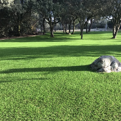 Césped artificial NATURAL GREEN