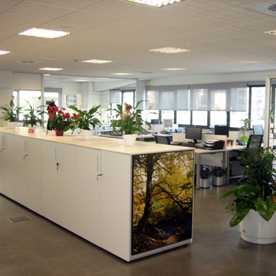 ACONDICIONAMIENTO DE OFICINAS PARA LANTEGI BATUAK EN POLIGONO INBISA DE DERIO