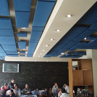 paneles absorbentes techo bar