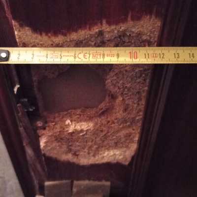 Por dentro aun tenia mas hueco