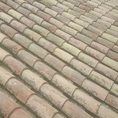 retejado y rejuntado