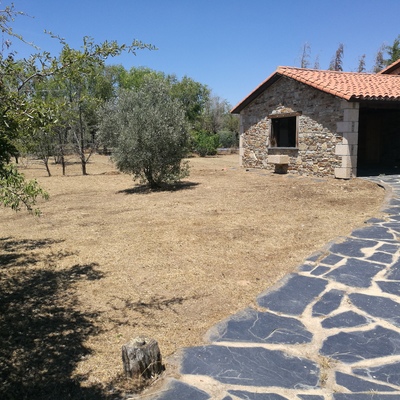 Desbroce Aldea del Fresno