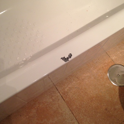 Antes De La Reparación