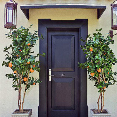 Árboles con Frutas Artificiales - Naranjo