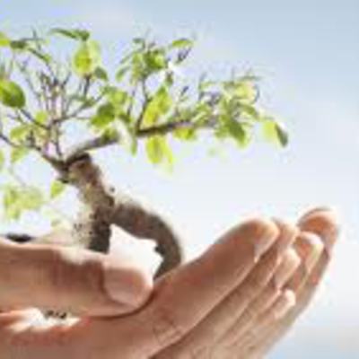 Ardeca apuesta por el medio ambiente