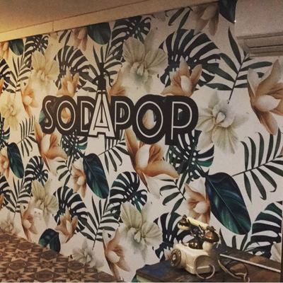 DECORACION DE PAREDES EN VINILO ESPECIAL PARA PARED