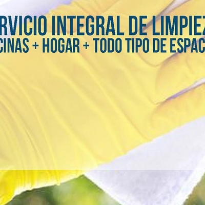 SERVICIOS DE LIMPIEZA PARA HOGARES, OFICINAS Y LOCALES