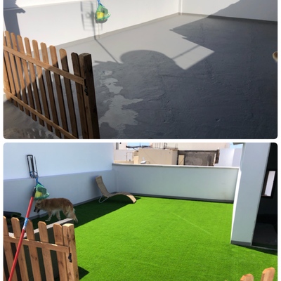 Cambio de look zotea