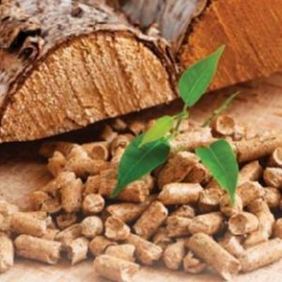 biomasa grupo JUNTASOL