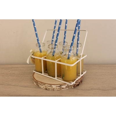 Lechera con capacidad para 6 botellitas de leche