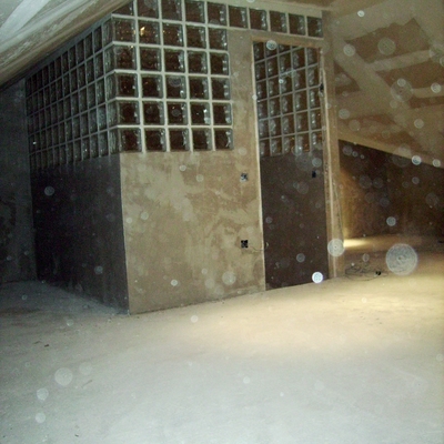 Buhardilla con tragaluz I