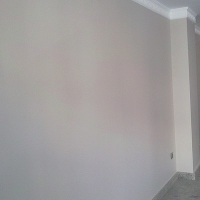 Callosa Pintura lisa salón 02