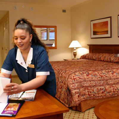 Organización Y limpieza en Viviendas