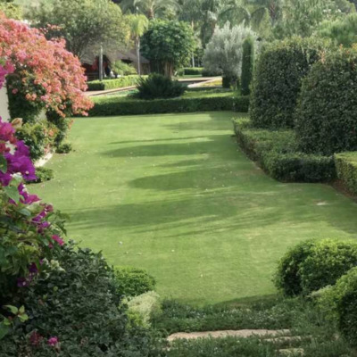 Pradera