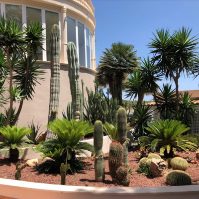 Mantenimiento de Jardín