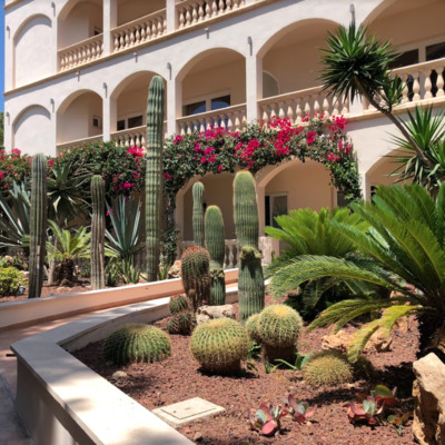 Mantenimiento de Jardín