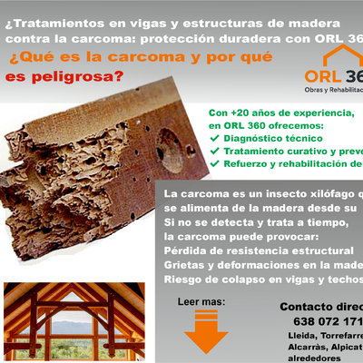 Tratamientos en vigas y estructuras de madera contra la carcoma en Lleida