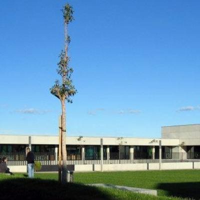 CASA DE LA MUSICA Y LA DANZA 