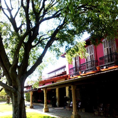 Casa de las Hiedras 1