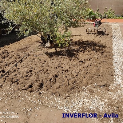 INICIO DE OBRA EN CASA RURAL