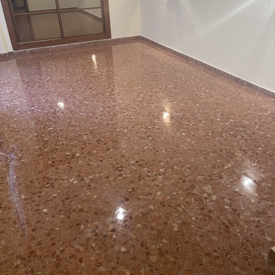 Vitrificados domesticos