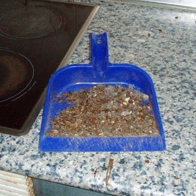 CENDAL DESINFECCIONES S.L