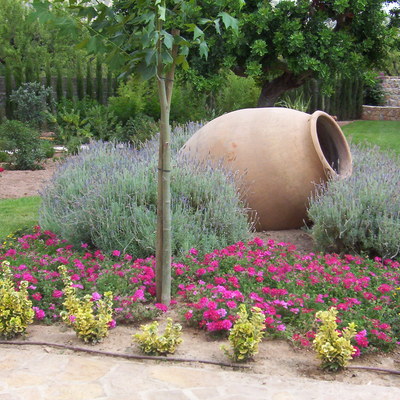 Centro de tinaja con Verbena Rosa