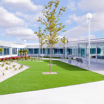 Centro Diurno Polivalente, Sense Barreres