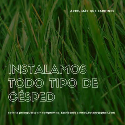 Instalamos todo tipo de césped