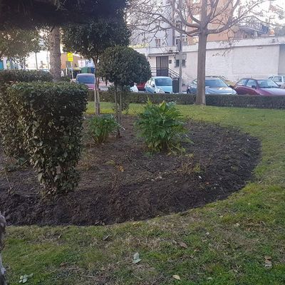 Jardin