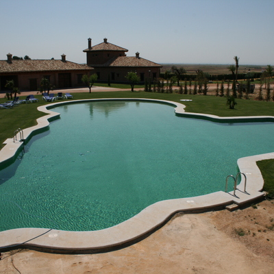 PISCINA IRREGULAR EN CHICLANA