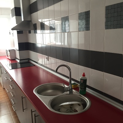 Cocianas y alicatados