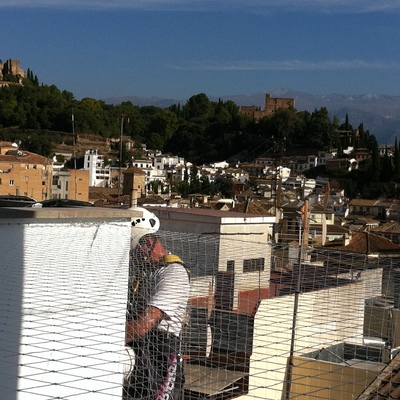 colocación de red anti-palomas en Granada
