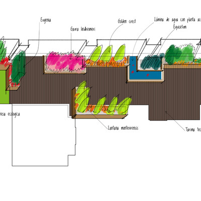 Concpeto de jardín tropical