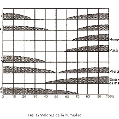 CONSECUENCIAS DE LA HUMEDAD