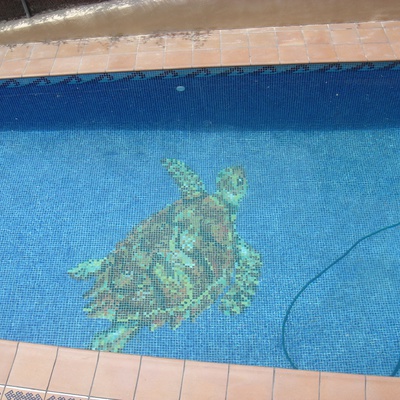 Construccion piscina