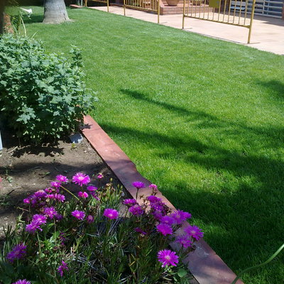 Cosntrucción de jardín, Castelldefels, Barcelona