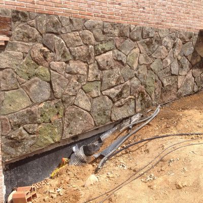 Musgo mde lagarto con junta pequeña