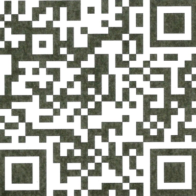 Datos CARBONESSAIZ:COM