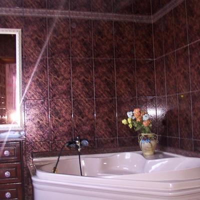 Baño Con Bañera ricon sin Hidro