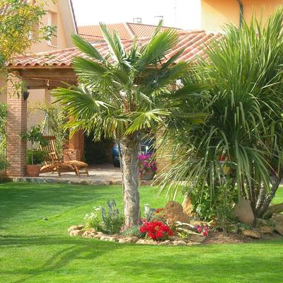 Montaje y mantenimiento de jardines