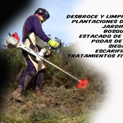 Desbroce de fincas
