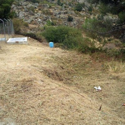 despues del desbroce del terreno