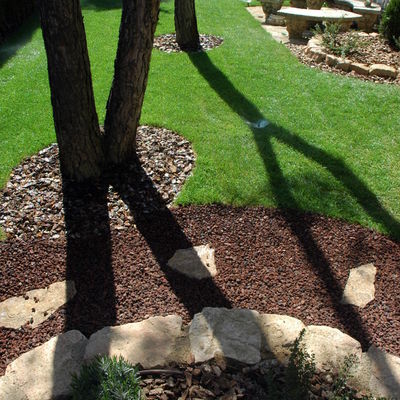 detall de contrastos en un jardí