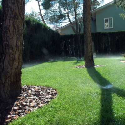 detall de l'instal.lació de reg