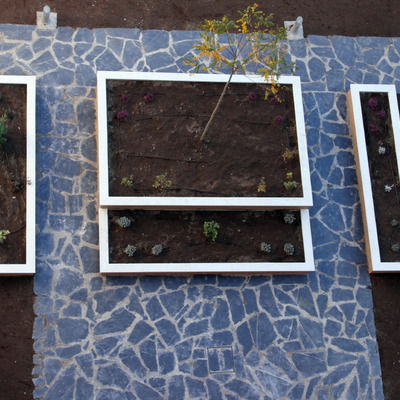 Detalle de jardinería