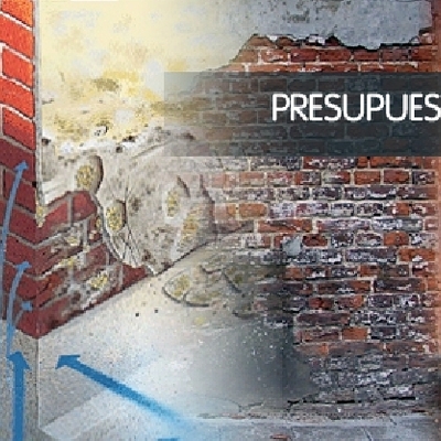 DIAGNÓSTICO, PERITACIÓN, PRESUPUESTO