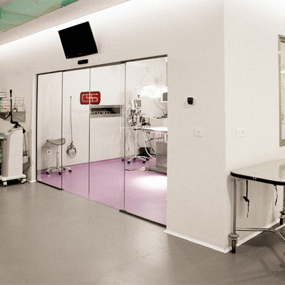 DISEÑO DE HOSPITAL VETERINARIO