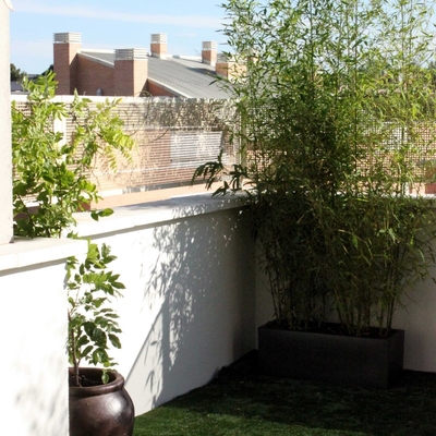 Diseño de jardín en ático. Jardín urbano. Madrid. Aravaca.